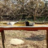 photo 2021-03-11 09-10-29