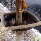 photo 2019-02-05 09-18-32