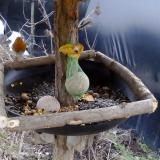 photo 2019-01-19 11-50-57