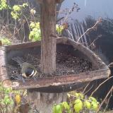 photo 2019-12-14 10-06-28