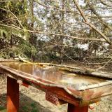 photo 2022-03-29 14-53-06