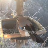 photo 2019-12-30 08-14-32