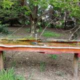 photo 2021-04-26 15-19-48