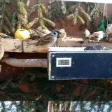 photo 2021-02-13 10-48-56