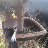 photo 2019-12-25 09-15-39