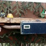 photo 2021-02-08 12-19-53