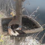 photo 2019-12-31 08-45-20