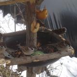 photo 2019-01-31 12-06-38