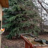 photo 2021-12-16 11-14-36