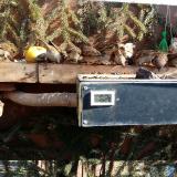 photo 2021-02-15 11-39-32