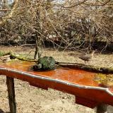 photo 2021-03-26 09-43-40