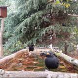 photo 2023-10-10 08-49-23