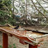 photo 2022-03-30 14-40-36