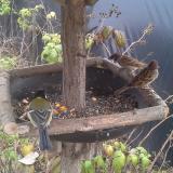 photo 2019-12-08 11-59-42