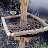 photo 2019-01-03 11-24-17