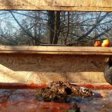 photo 2022-01-23 12-00-21