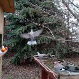 photo 2021-12-15 13-57-06