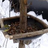 photo 2019-01-08 09-14-32