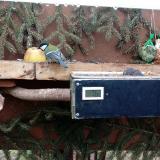 photo 2021-02-08 09-58-03