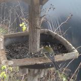 photo 2019-12-25 11-19-25