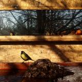 photo 2022-01-24 09-50-16