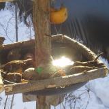 photo 2019-01-27 10-07-26