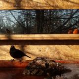 photo 2022-01-24 10-37-19