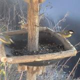 photo 2019-12-31 13-03-06