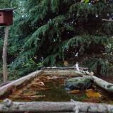 photo 2023-10-15 17-44-53