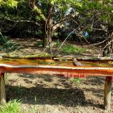 photo 2021-04-22 10-03-53