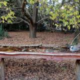 photo 2021-10-19 16-53-21