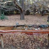 photo 2021-10-26 07-58-36