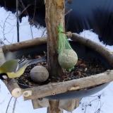 photo 2019-01-11 13-13-22