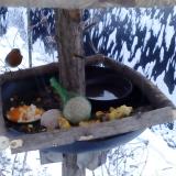 photo 2019-01-22 07-52-54