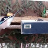 photo 2021-02-16 07-51-02