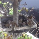 photo 2019-12-02 08-18-03