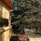 photo 2022-01-12 11-09-58