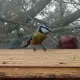 photo 2022-01-16 11-28-16 kek