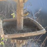 photo 2019-12-27 12-12-18