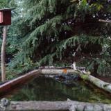 photo 2023-10-10 18-06-20