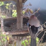 photo 2019-12-12 13-08-20