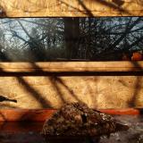 photo 2022-01-24 09-15-52