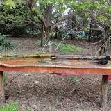 photo 2021-04-18 15-40-34