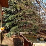 photo 2021-12-15 12-34-35