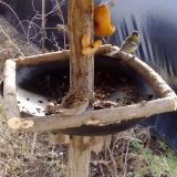 photo 2019-02-08 10-51-04