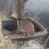 photo 2019-12-29 08-19-20