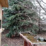 photo 2021-12-12 11-50-17