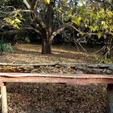 photo 2021-10-21 09-09-23