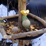 photo 2019-01-14 11-46-18