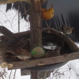 photo 2019-01-27 11-45-20